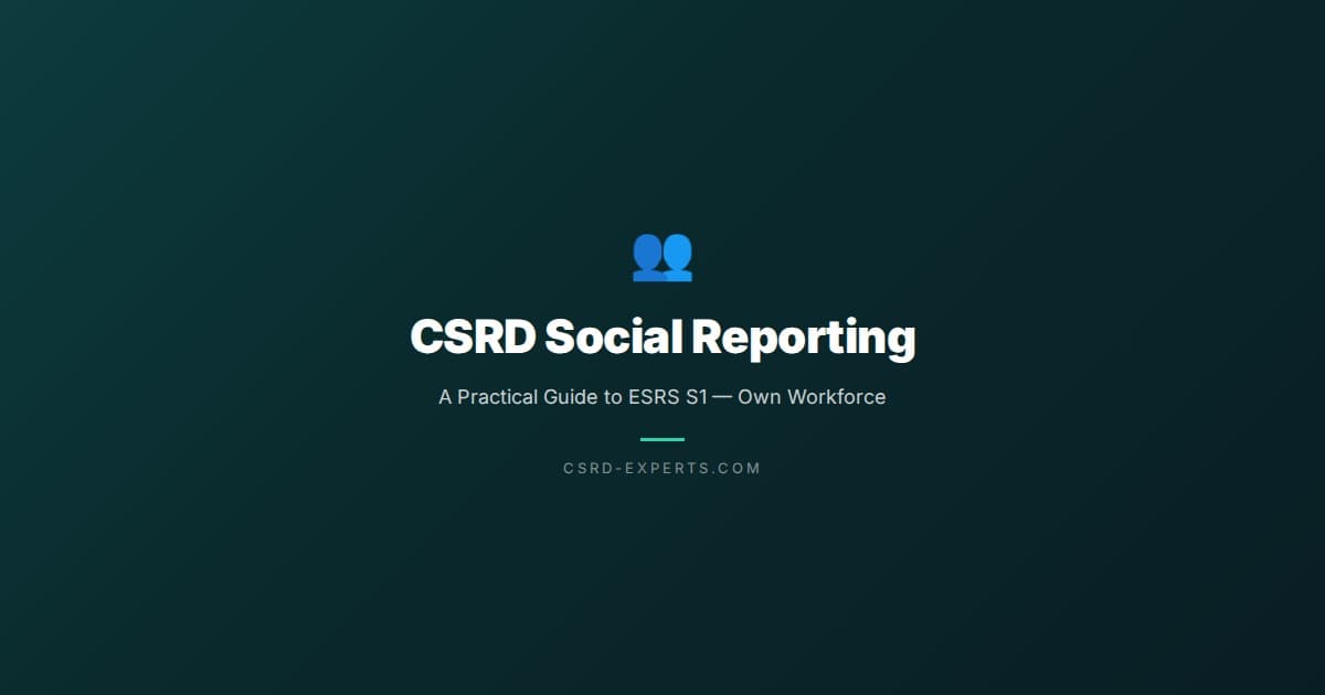 CSRD Social Reporting: A Practical Guide to ESRS S1 — Own Workforce