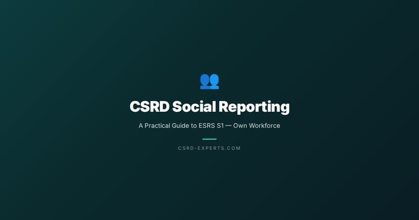 CSRD Social Reporting: A Practical Guide to ESRS S1 — Own Workforce